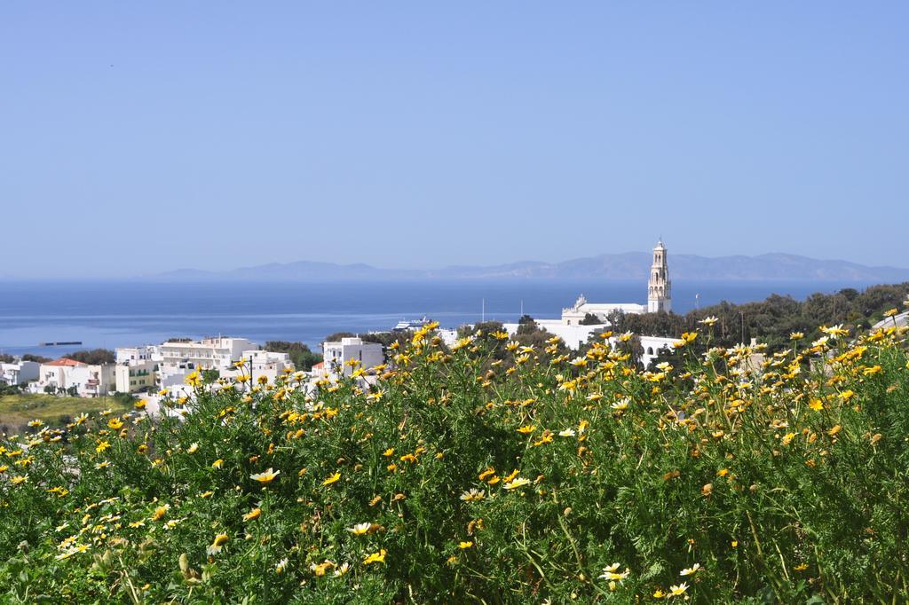 Anemismata Apartment Tinos Bagian luar foto